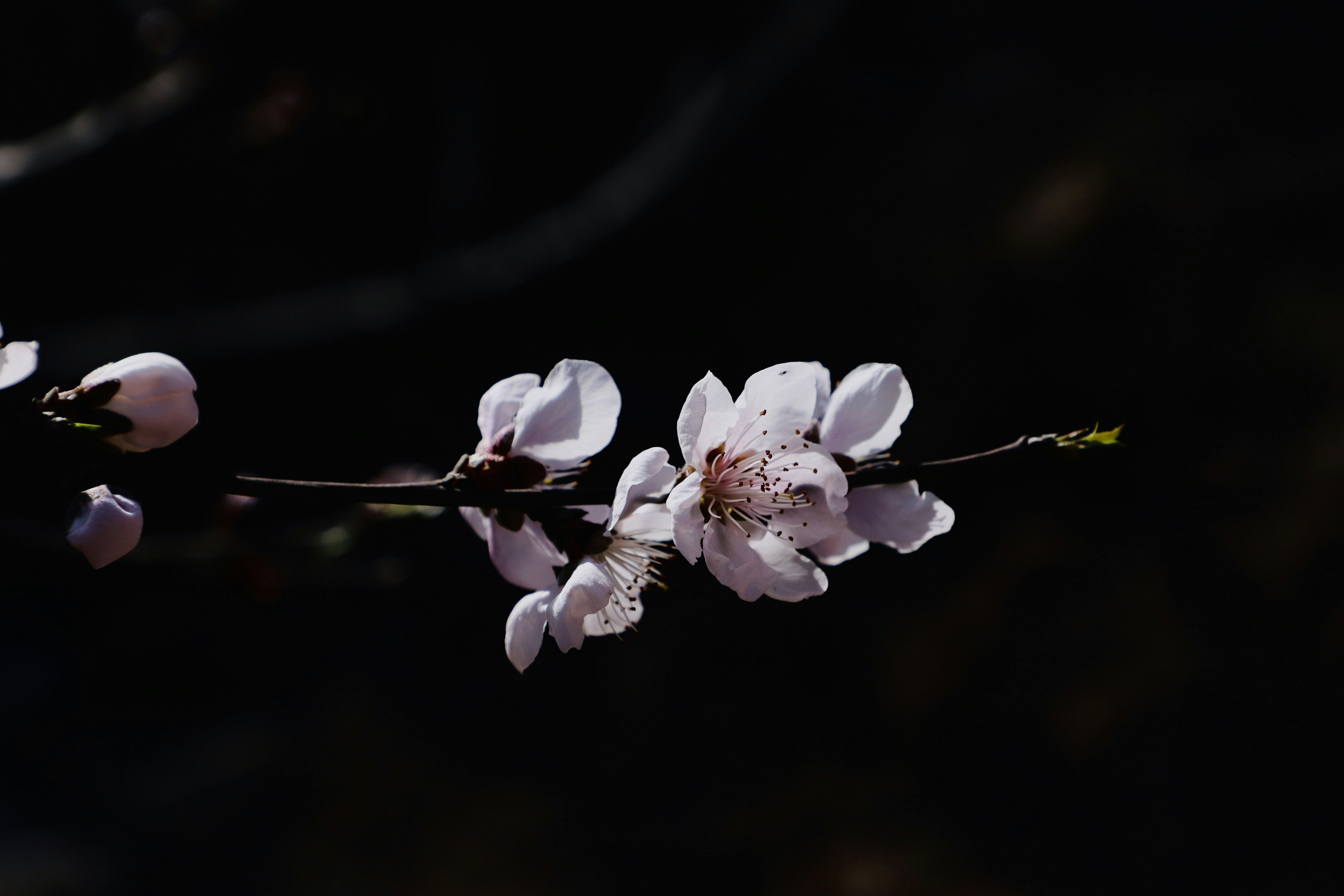 Photo by galaxyhunter