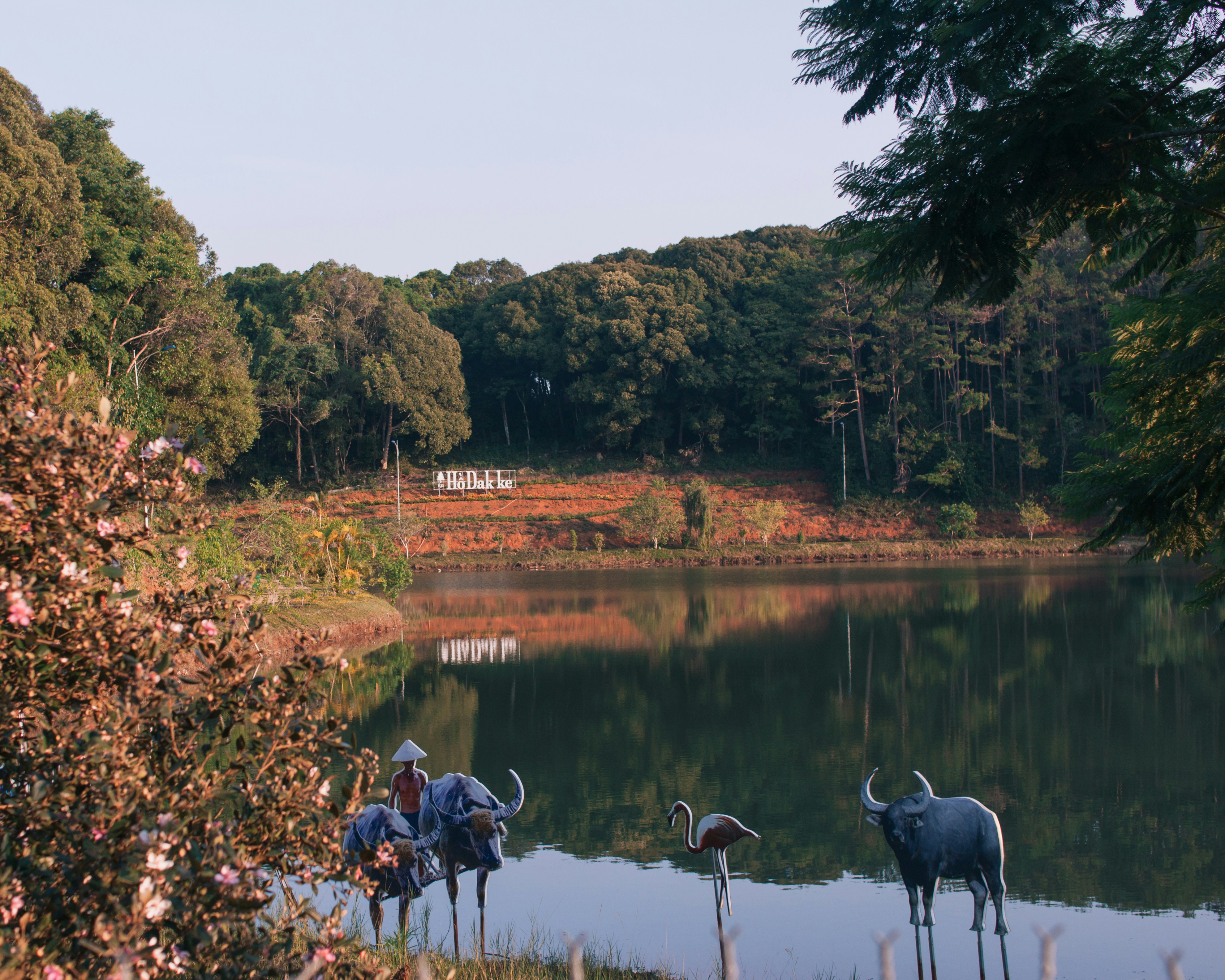 a group of birds that are standing in the water