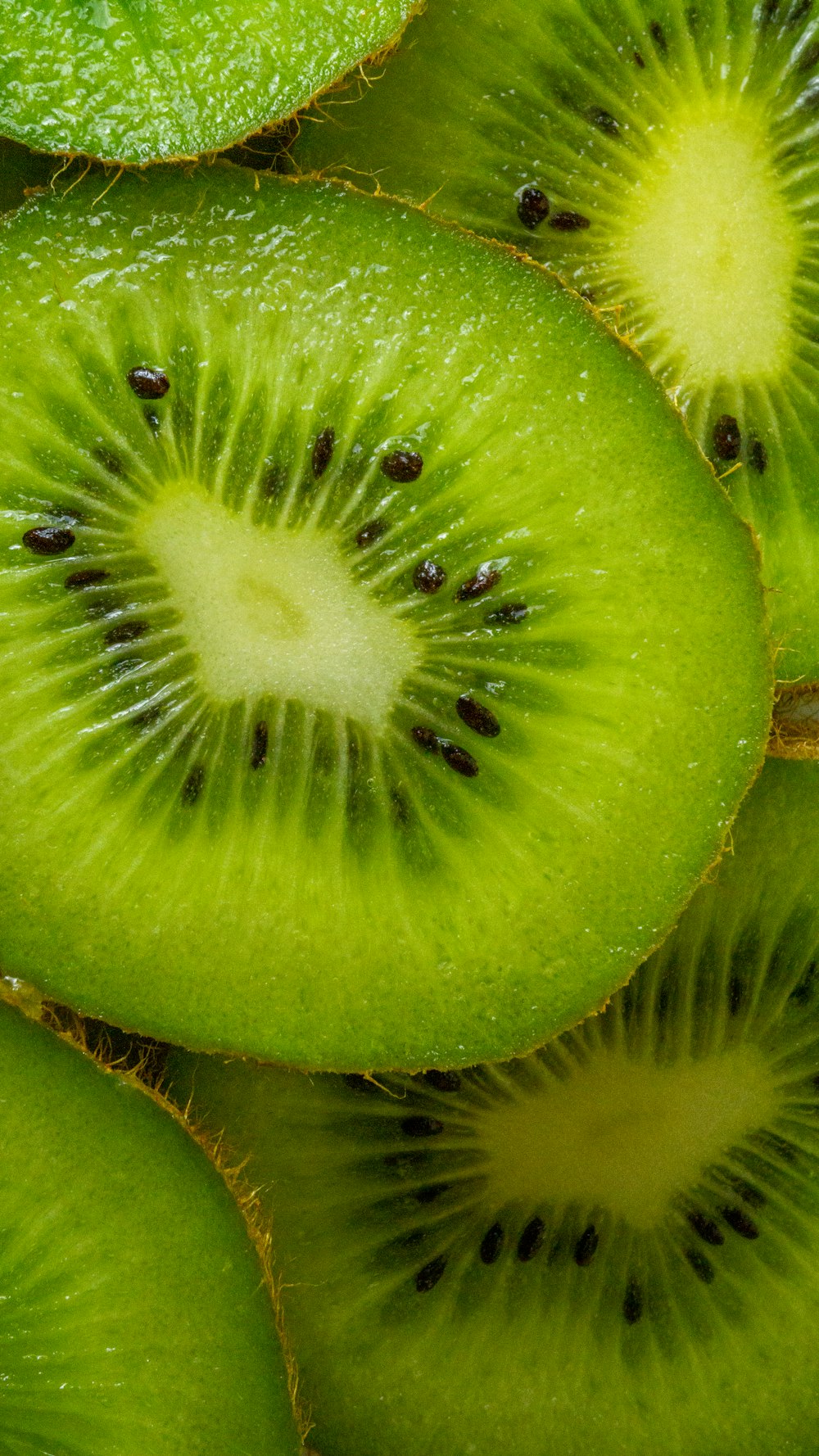 a close up of a kiwi fruit sliced in half