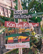 A collection of hand-painted wooden signs with cheerful messages.