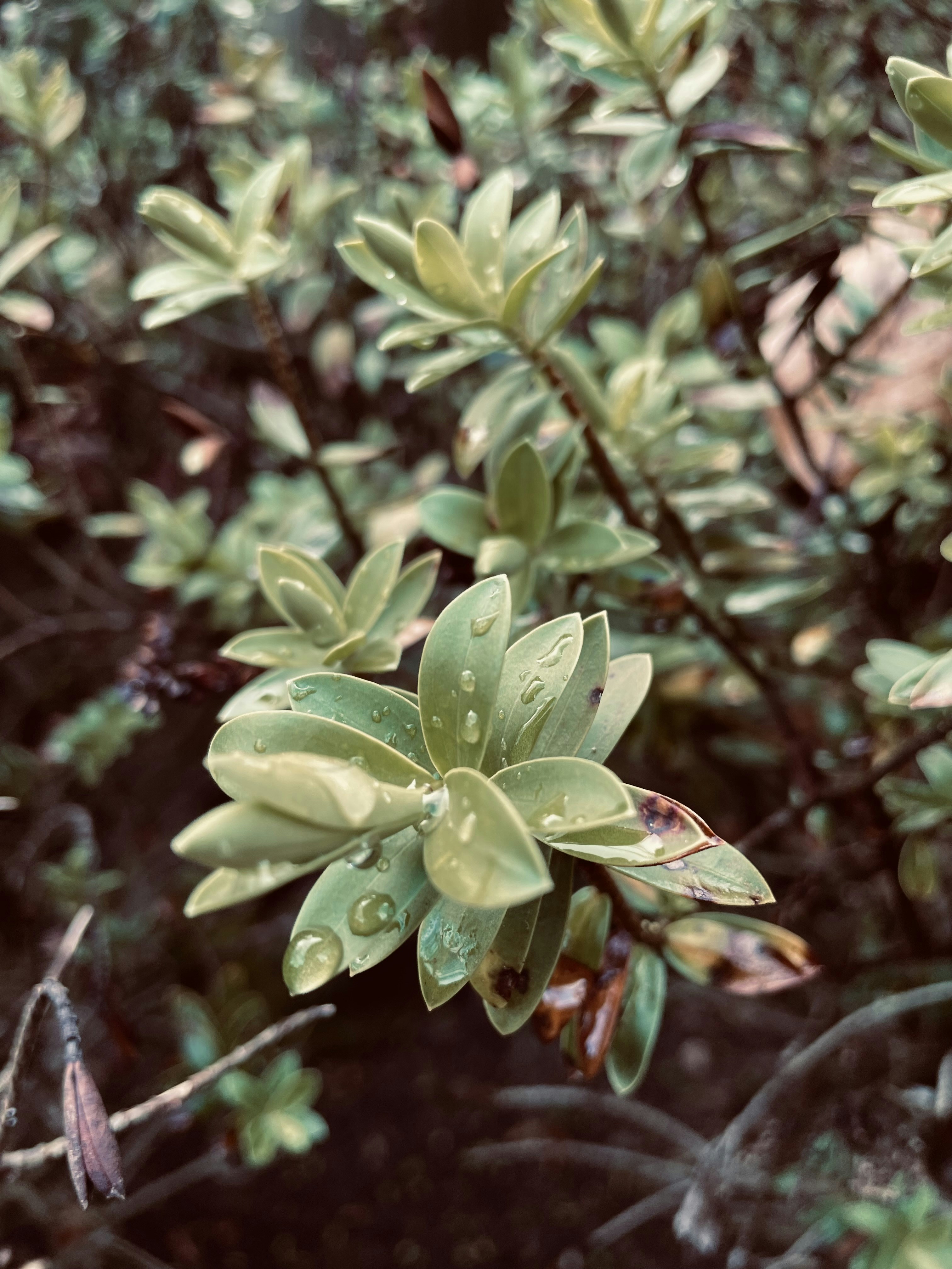 Photo by johnnygthorpe11