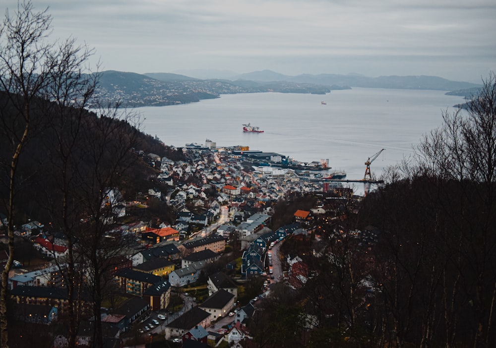 a view of a town with a large body of water in the background