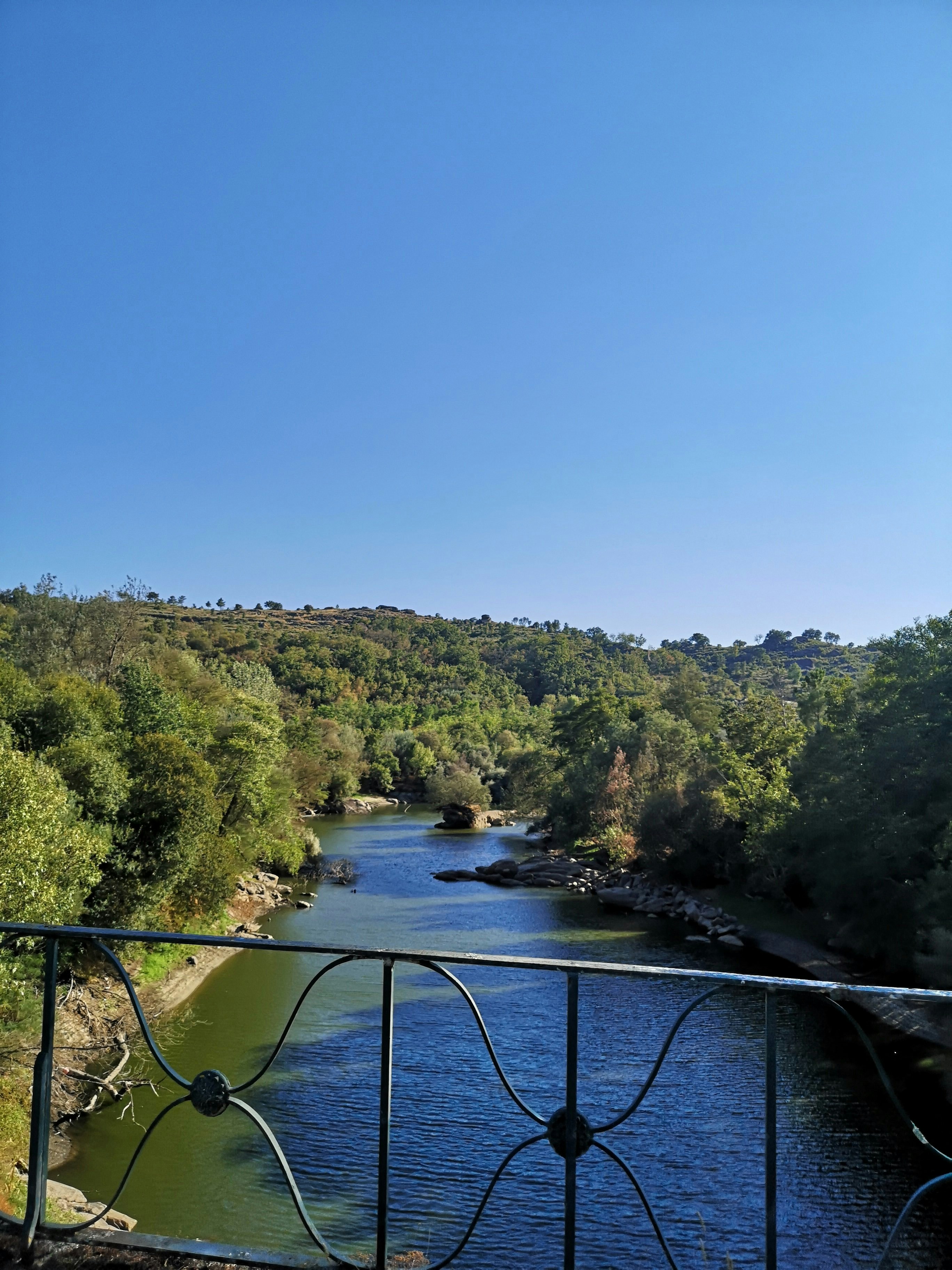 Photo by pedrofilipe00