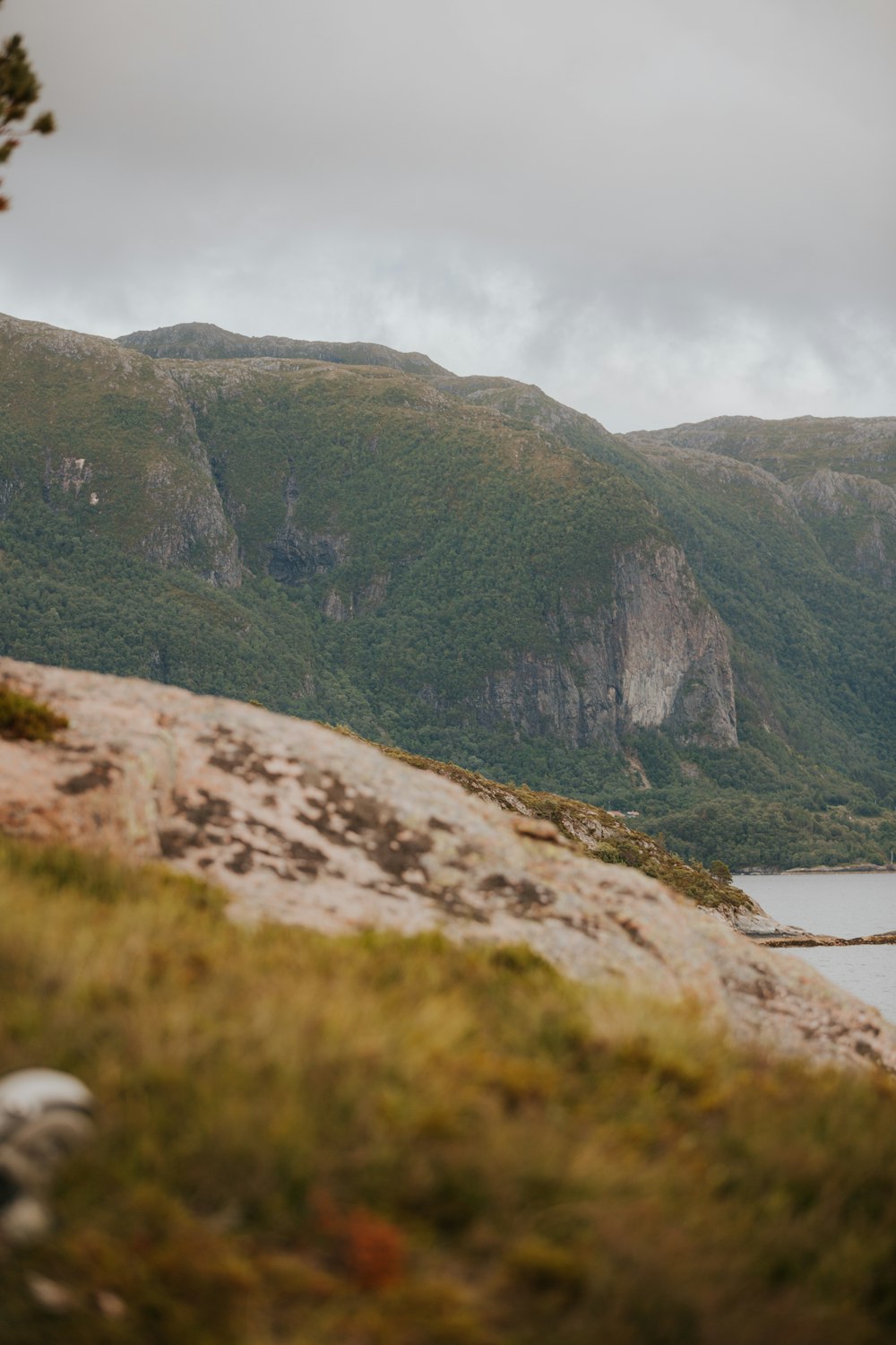 a couple of sheep standing on top of a lush green hillside