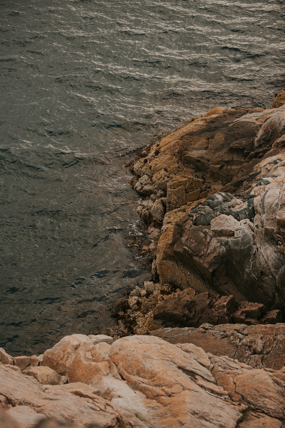 a person sitting on a rock near a body of water