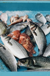 a bunch of fish that are on a table