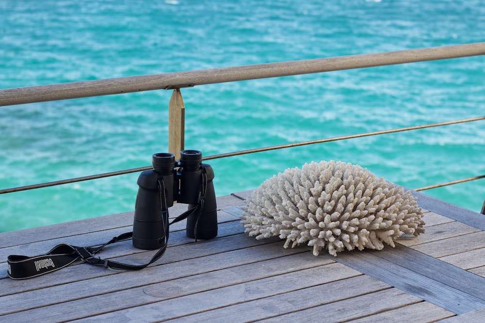 a white ball of coral on a wooden deck next to binoculars
