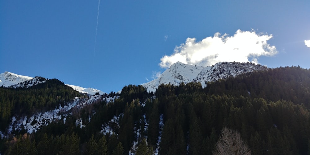 a view of a mountain with trees and a plane flying in the sky