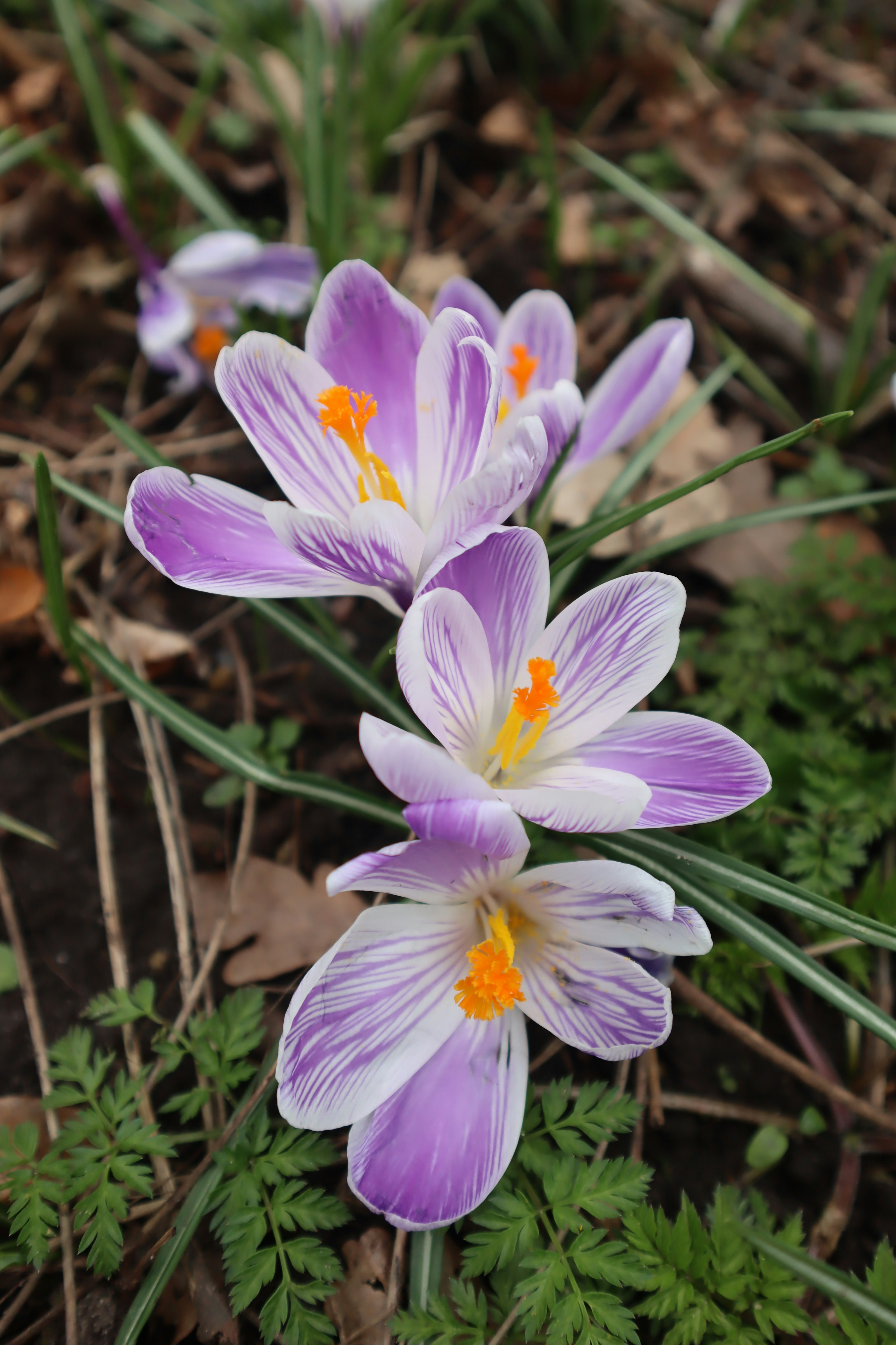 Photo by nellstephanj