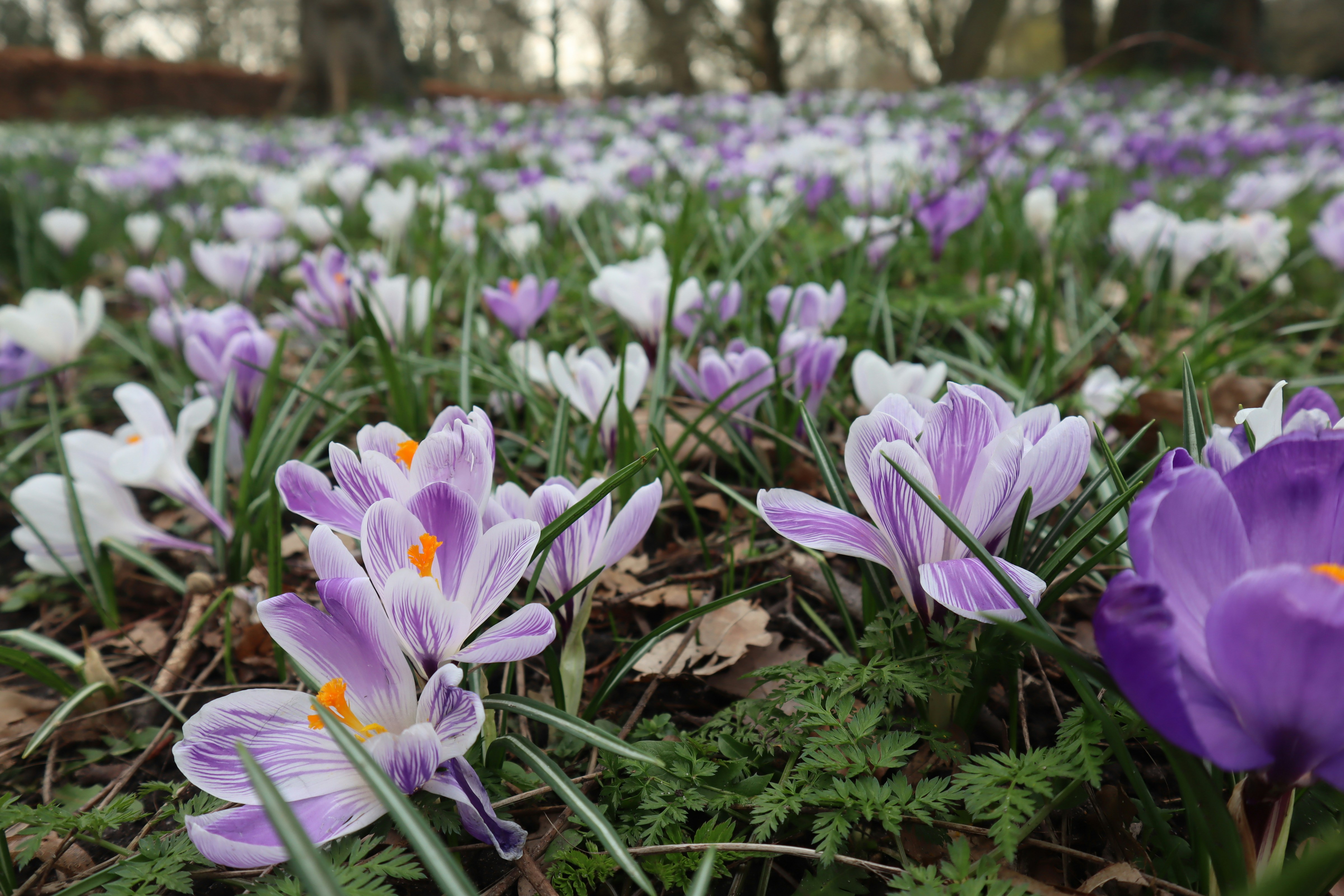 Photo by nellstephanj