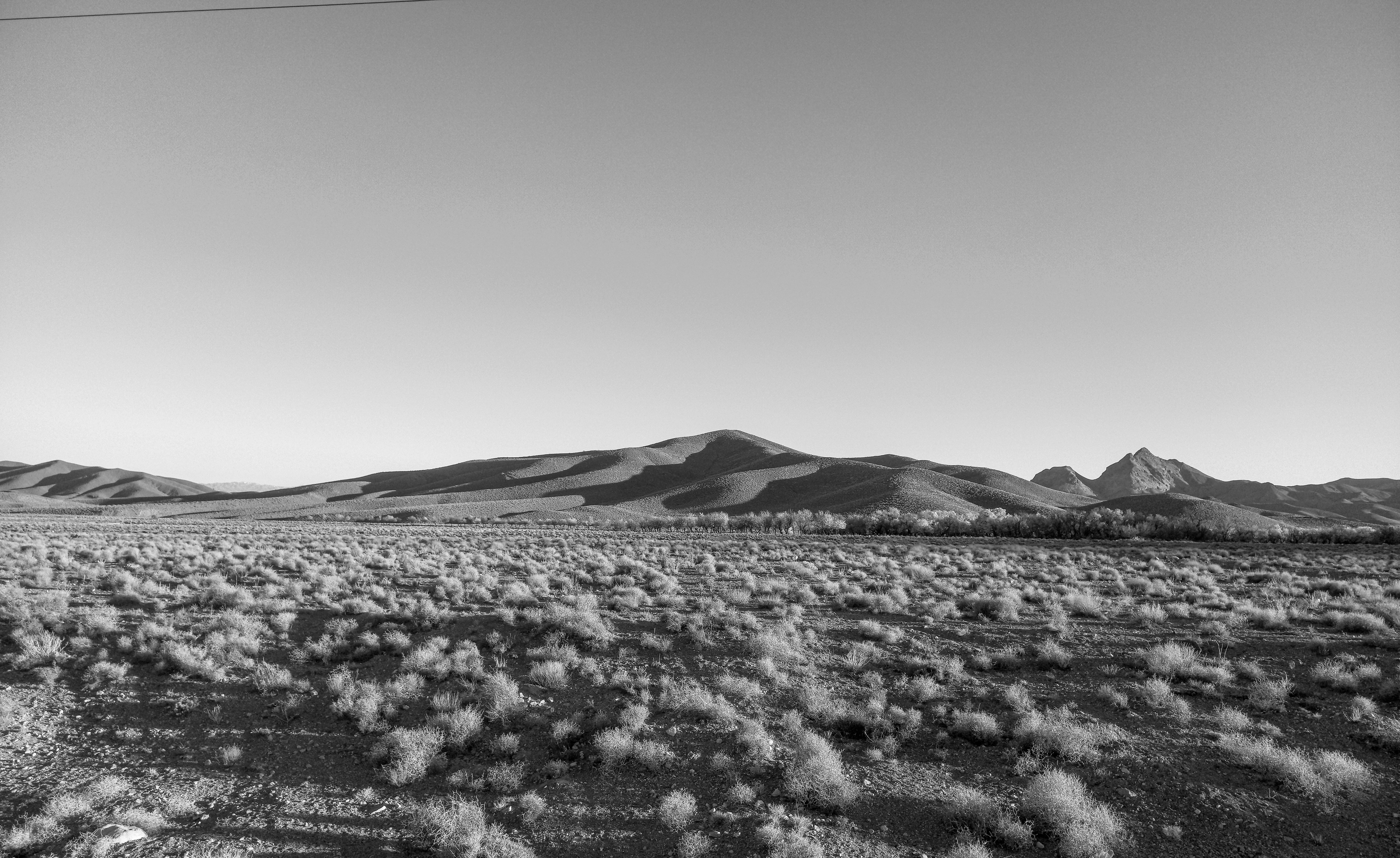 Photo by mehrdadghiasi