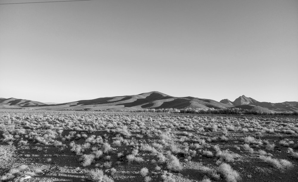 a black and white photo of a field with mountains in the background
