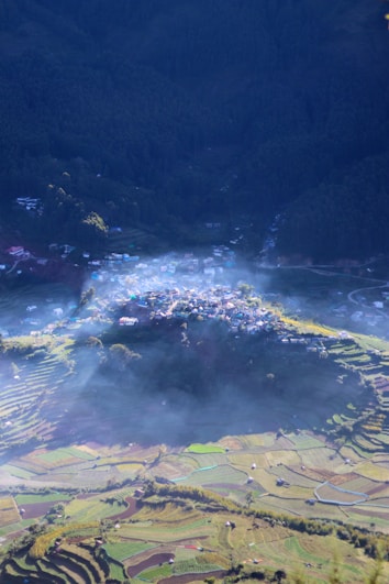 A village is nestled in a valley surrounded by dense forest on one side and terraced fields on the other. Mist lightly covers parts of the area, creating a serene and tranquil atmosphere. The fields are vibrant with various colors, indicating diverse crops or stages of growth.