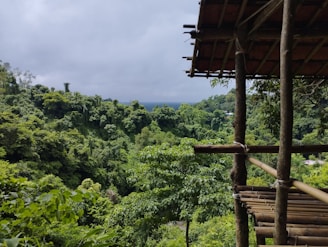 A dense tropical forest extends into the distance under a cloudy sky, dominated by various shades of green. On the right, a rustic wooden structure made of bamboo offers a vantage point overlooking the lush landscape.