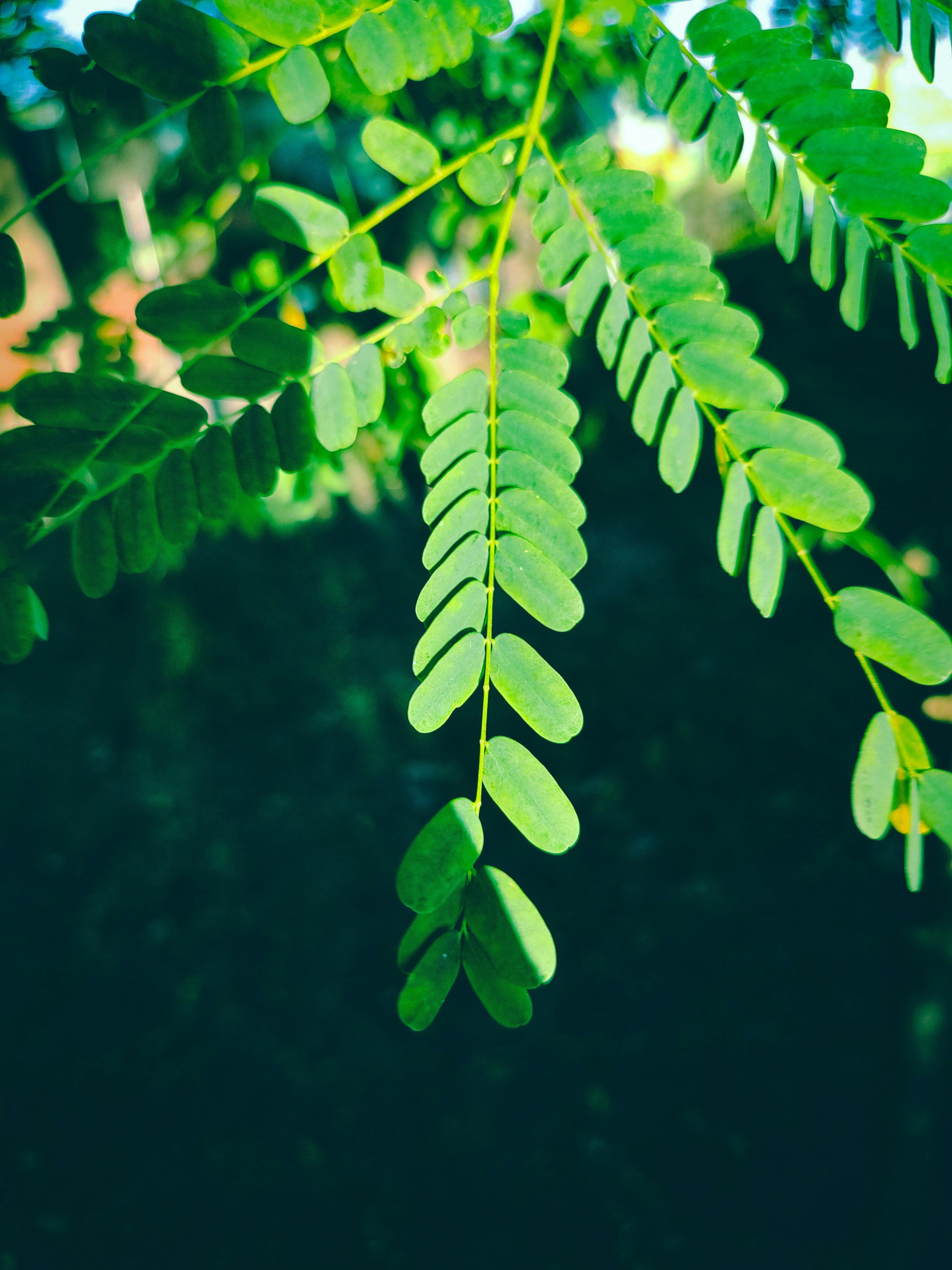 Photo by vardhanharsh05