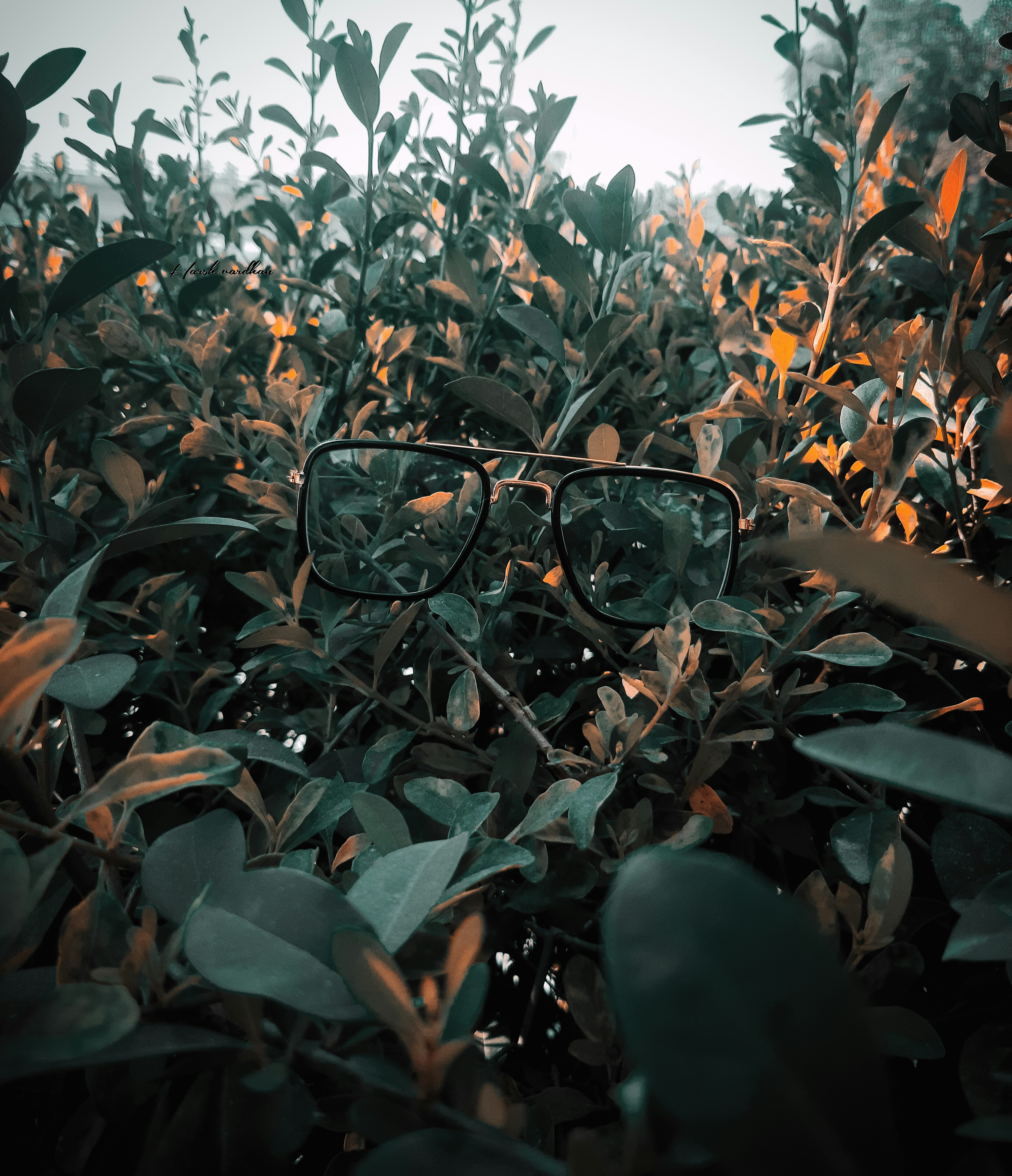 Photo by vardhanharsh05