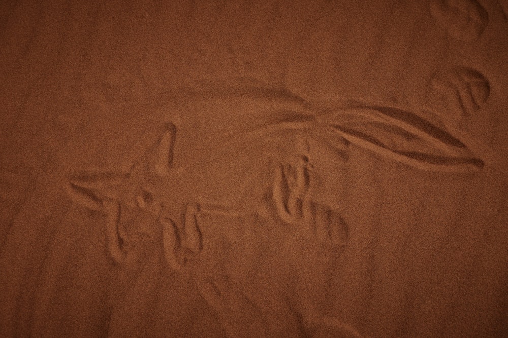 un gros plan des empreintes d’une personne dans le sable