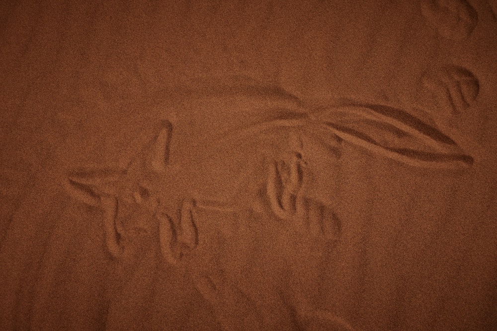 a close up of a person's footprints in the sand