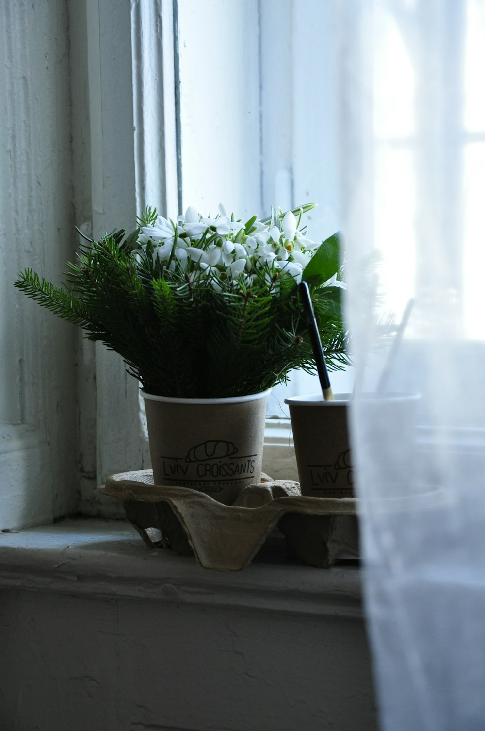 a potted plant sitting on top of a window sill