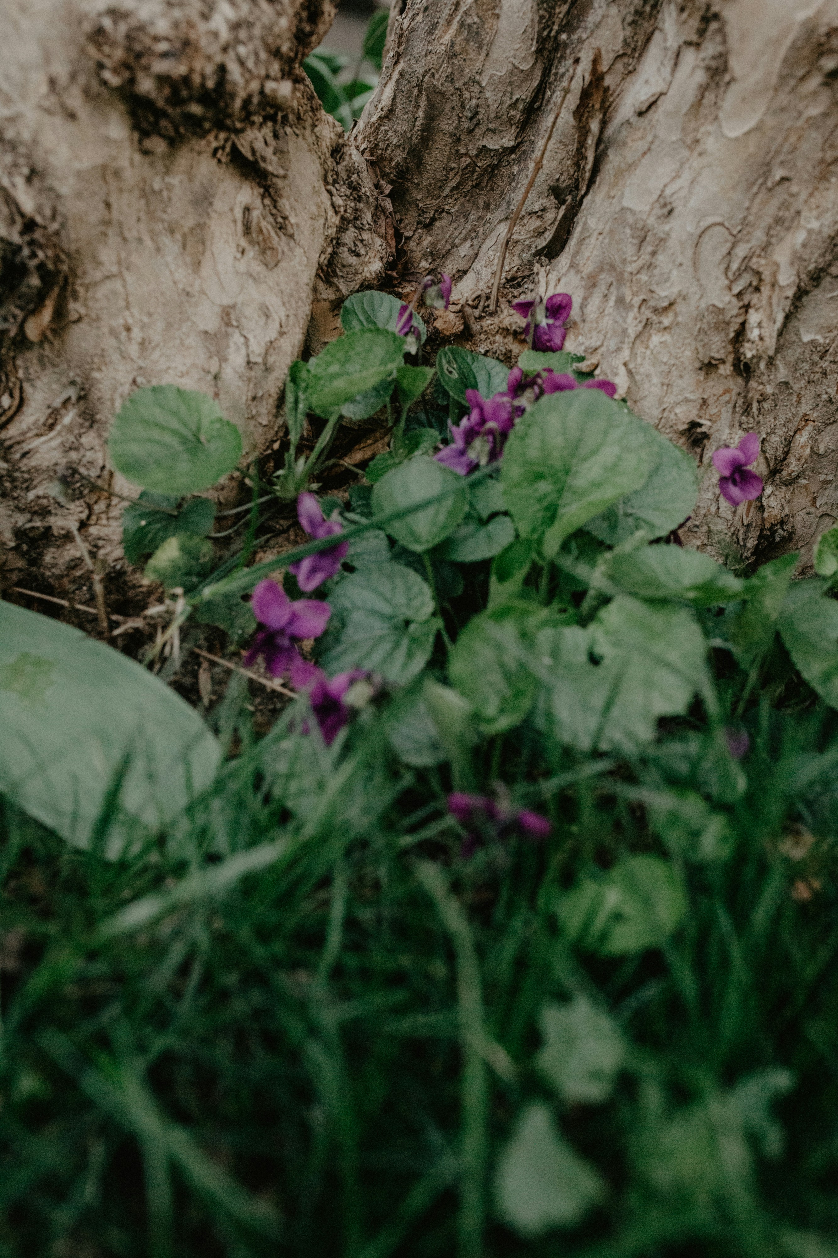 Photo by rhamely