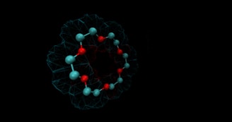 a model of the structure of a cell