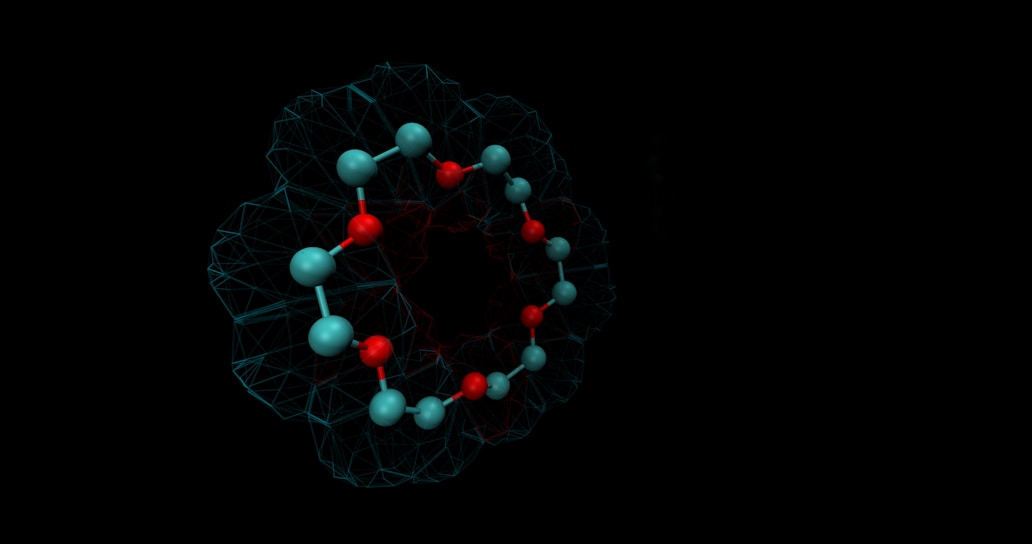 a model of the structure of a cell