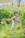 A person is practicing a martial art form in a lush green natural setting. Surrounded by tall grass and foliage, they hold a poised stance with focused concentration. Sunlight filters through the leaves, creating a serene and tranquil atmosphere.
