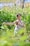 A person is practicing a martial art form in a lush green natural setting. Surrounded by tall grass and foliage, they hold a poised stance with focused concentration. Sunlight filters through the leaves, creating a serene and tranquil atmosphere.