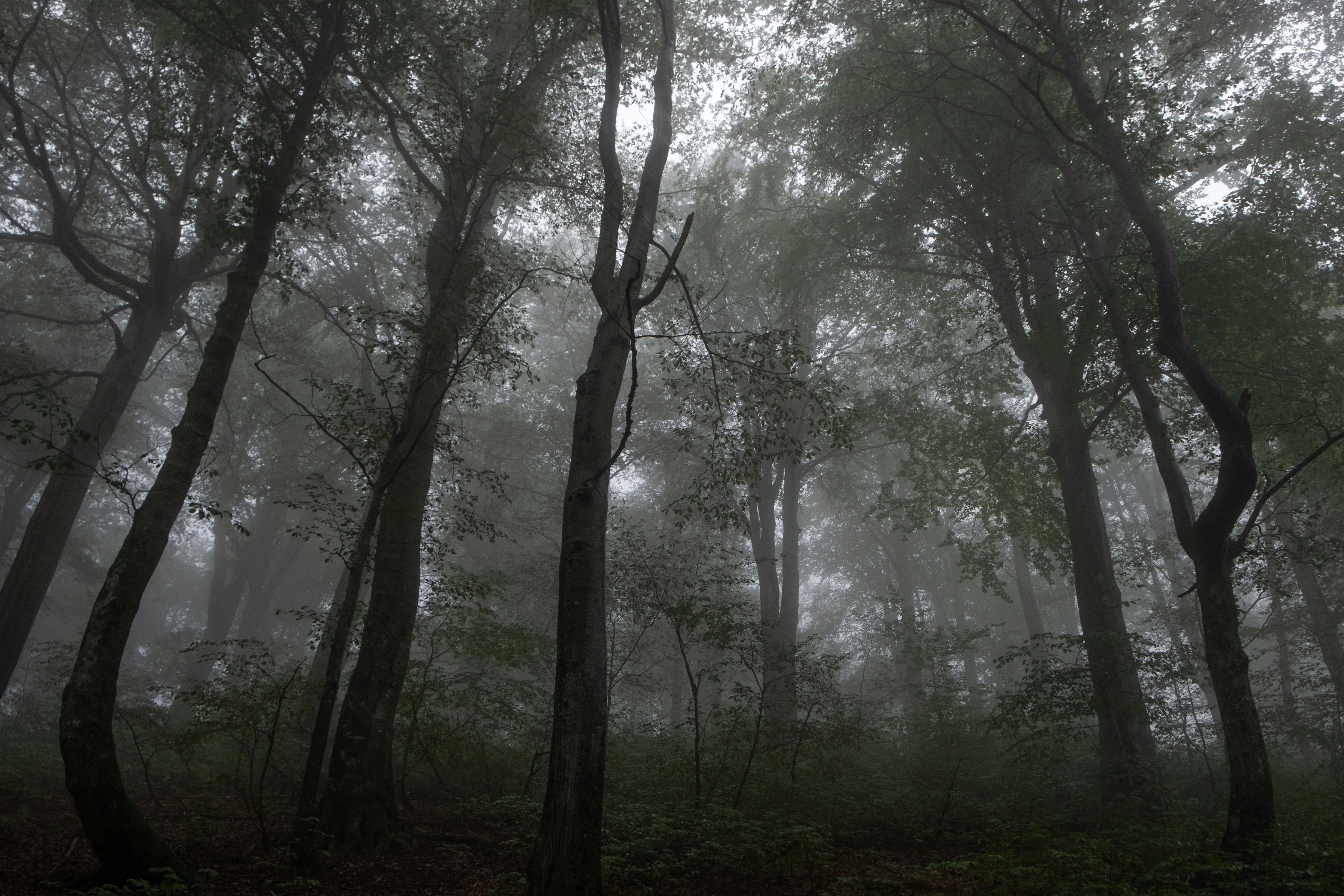 Photo by sevencolors