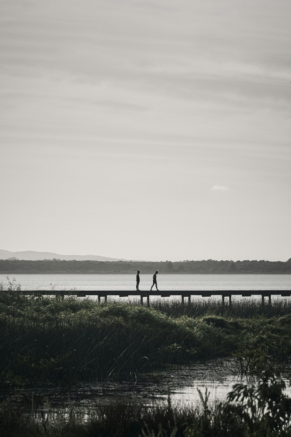 two people walking on a bridge over a body of water