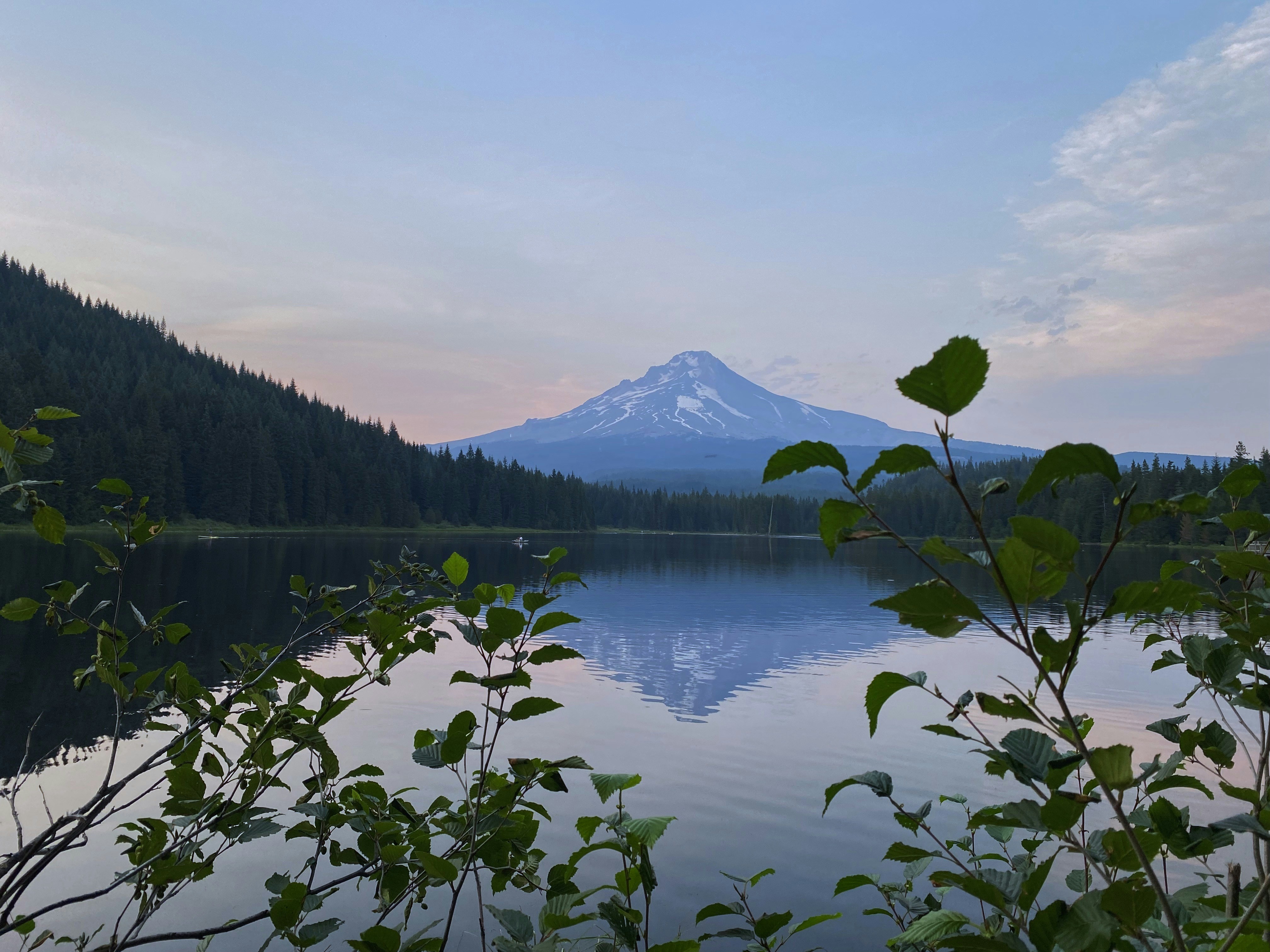 Photo by johnwaynehill