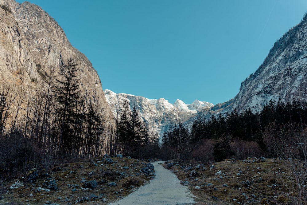 a path in the middle of a mountain with snow covered mountains in the background