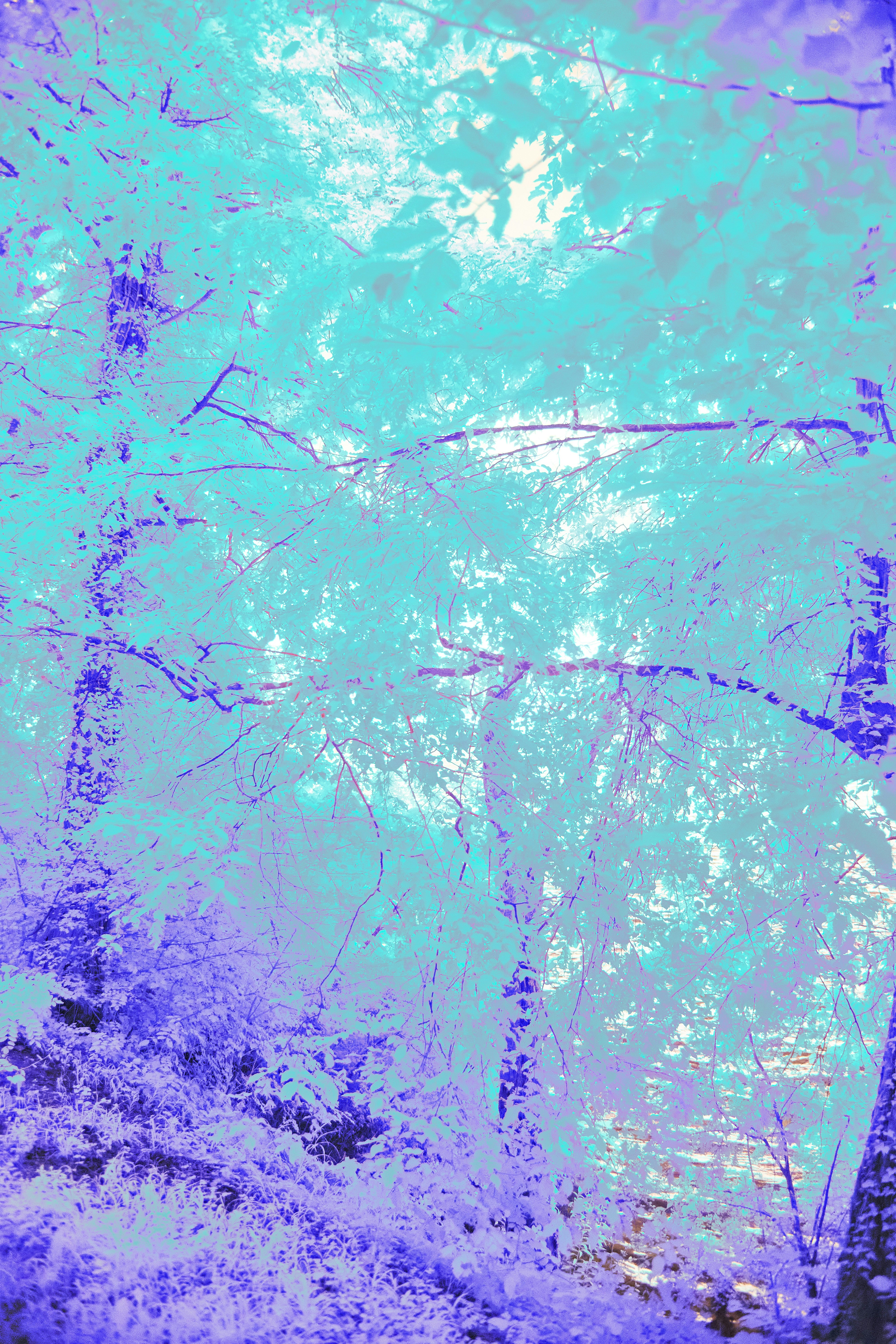 Photo by wolfgang_hasselmann