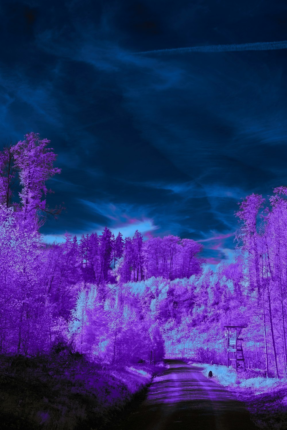 a purple infrared image of a road in the woods