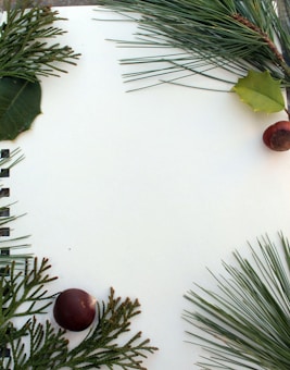 A blank white page is bordered with pine branches, green leaves, and brown chestnuts arranged artistically on the edges.