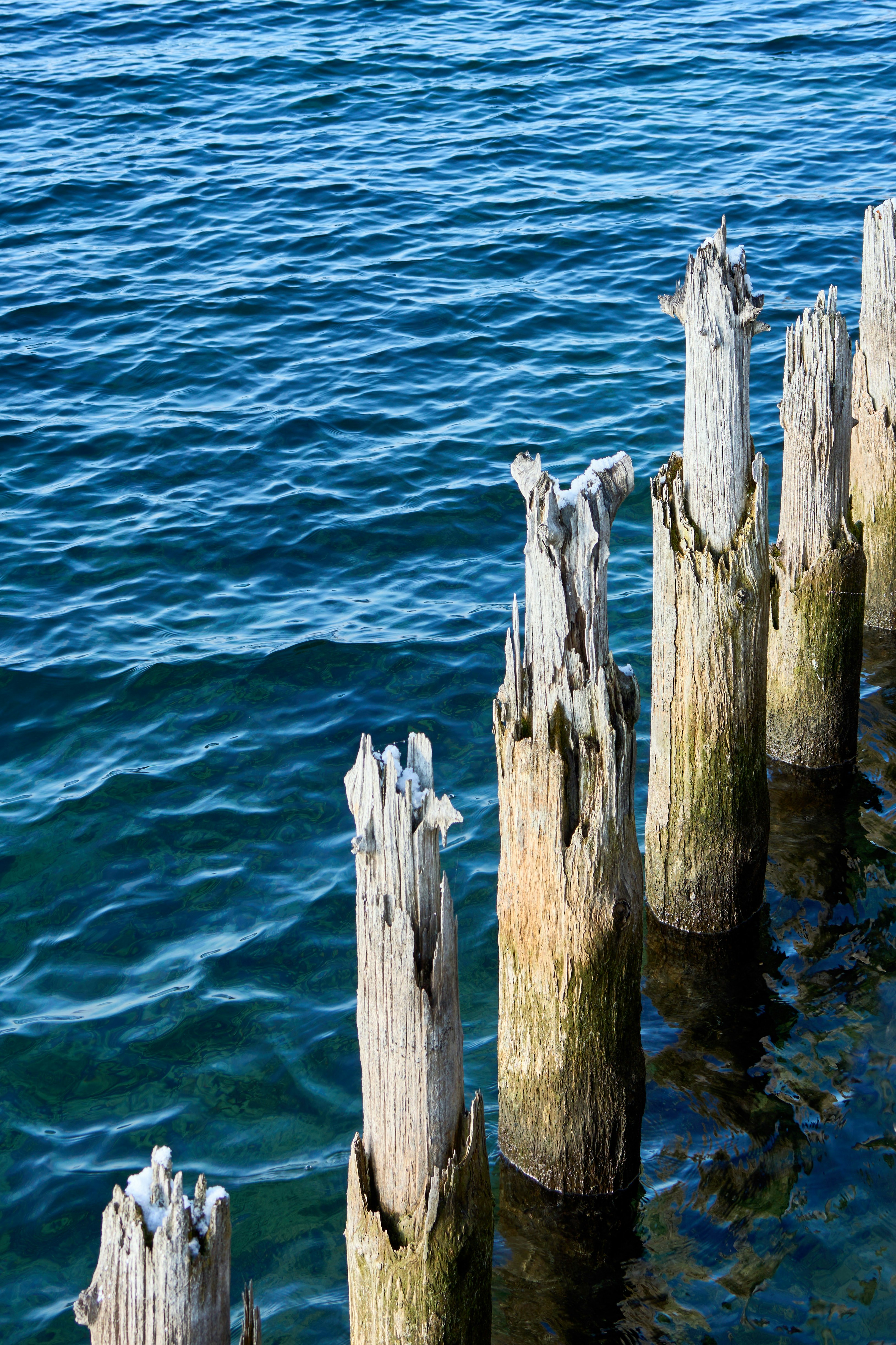 Photo by wolfgang_hasselmann