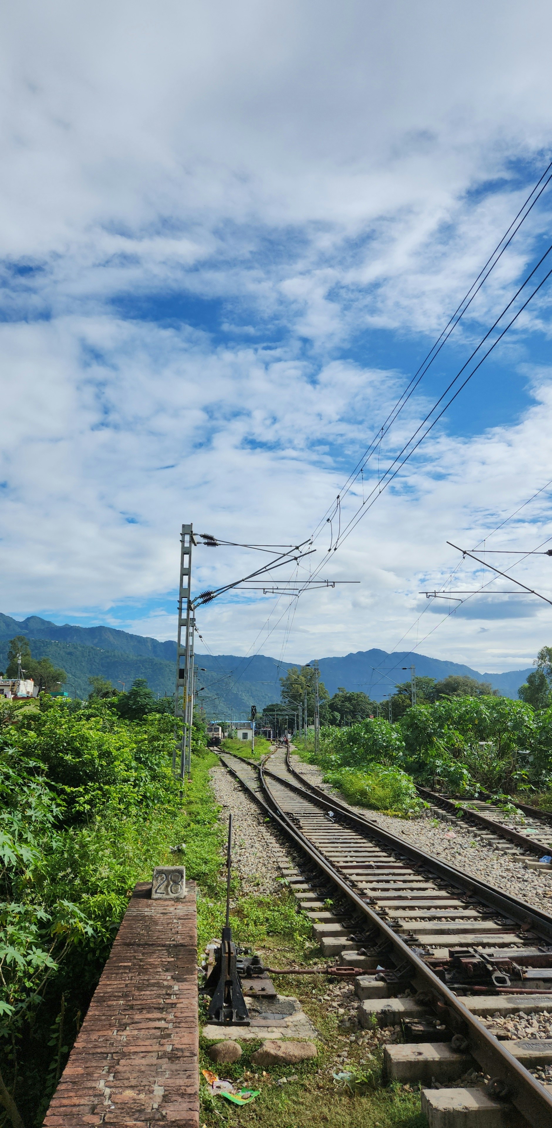 A train track running through a lush green forest photo Free