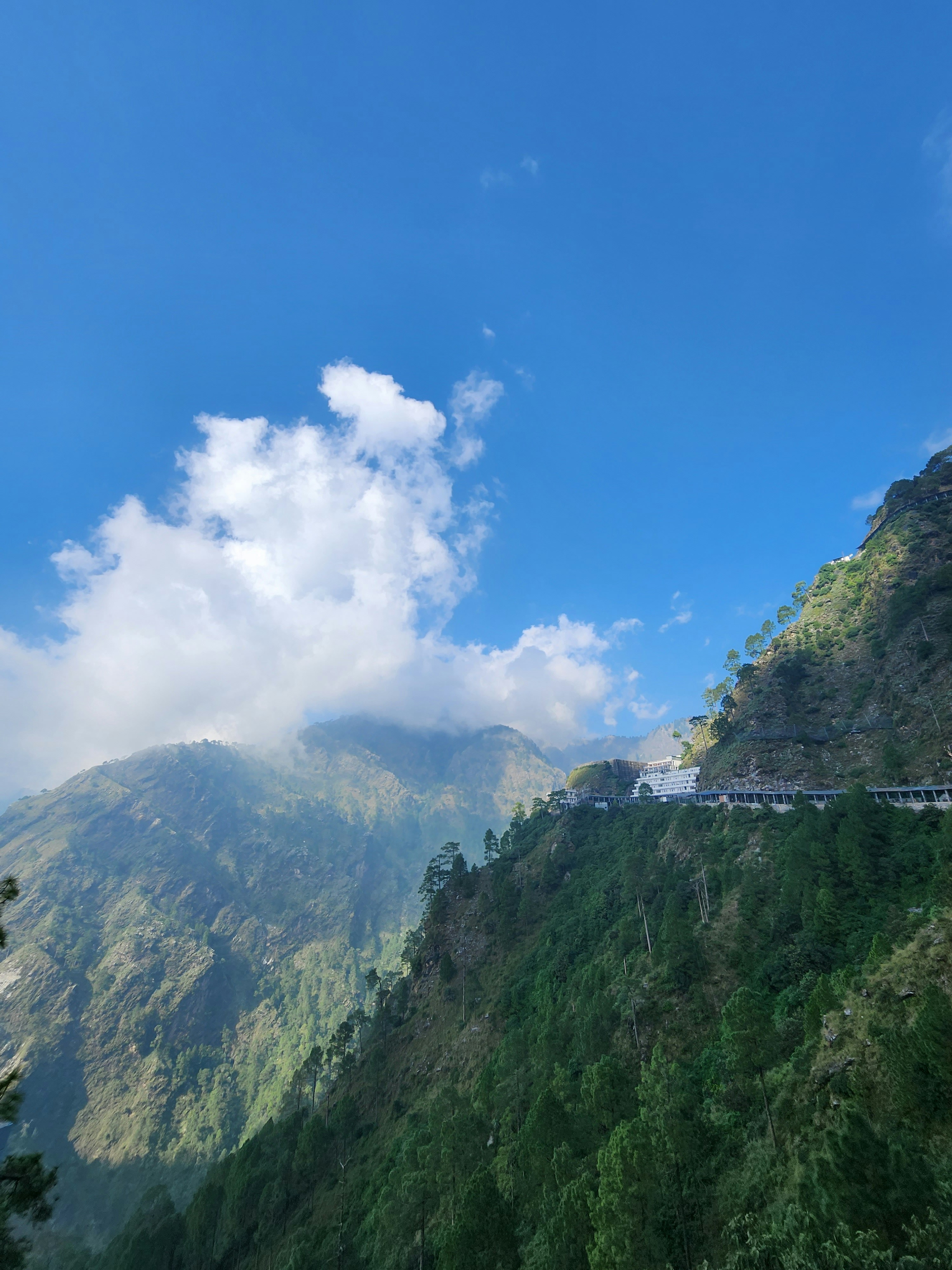 Photo by ashish_rastogi