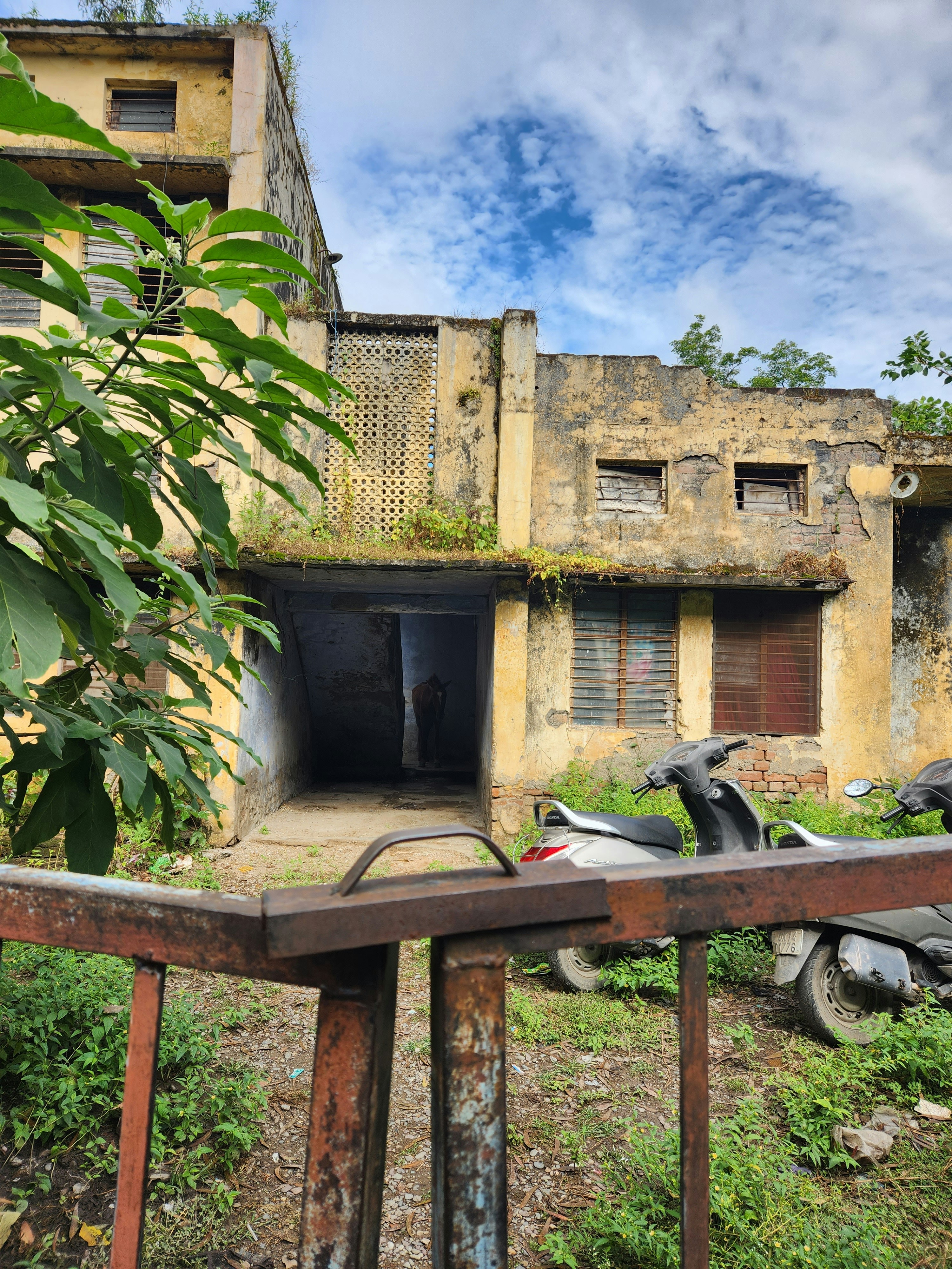 Photo by ashish_rastogi