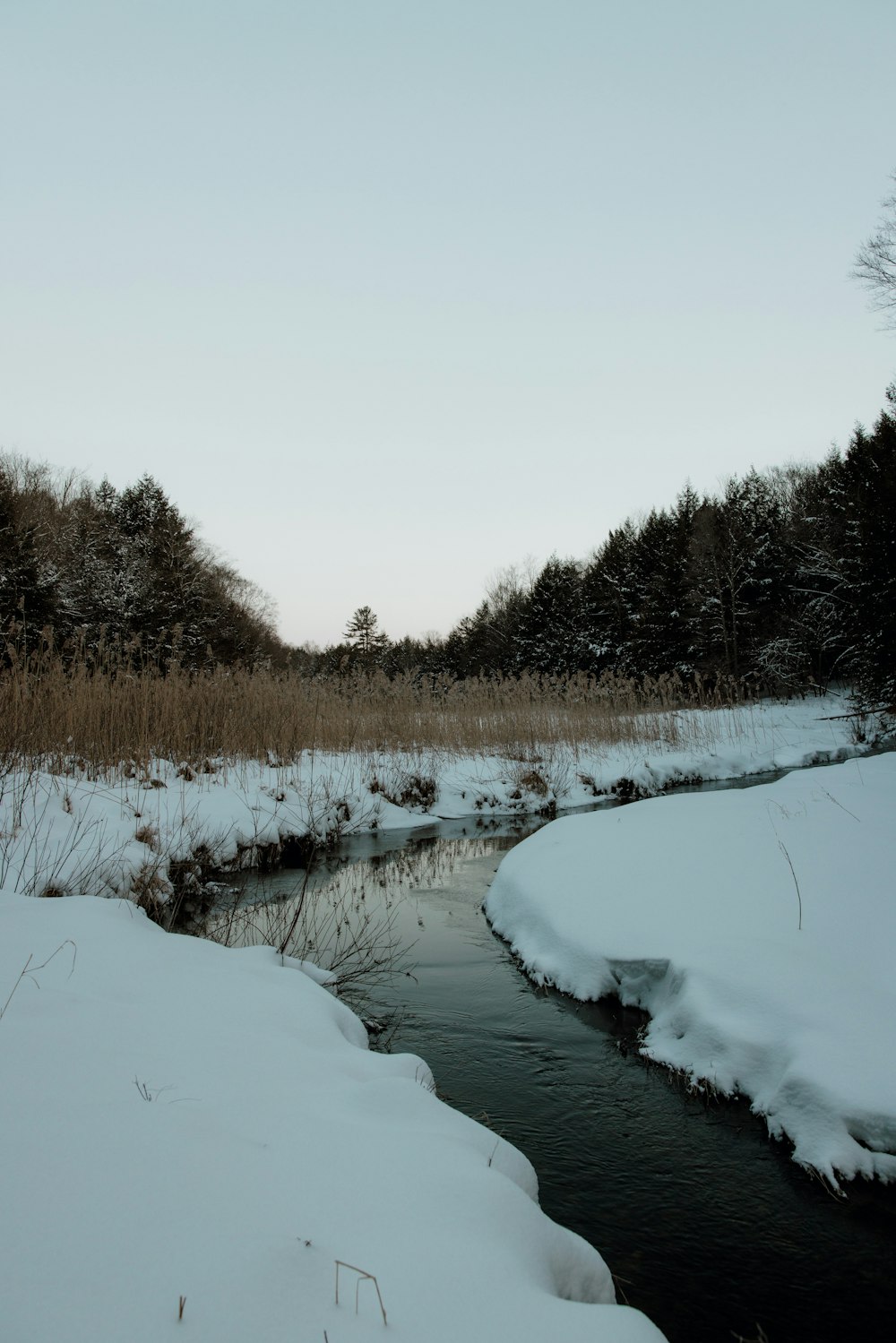 a stream running through a snow covered forest