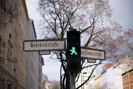 A pedestrian traffic light displays a green walking figure. The backdrop features street signs with German street names and residential buildings with a bare tree. The sky is partly cloudy, hinting at a typical urban setting.