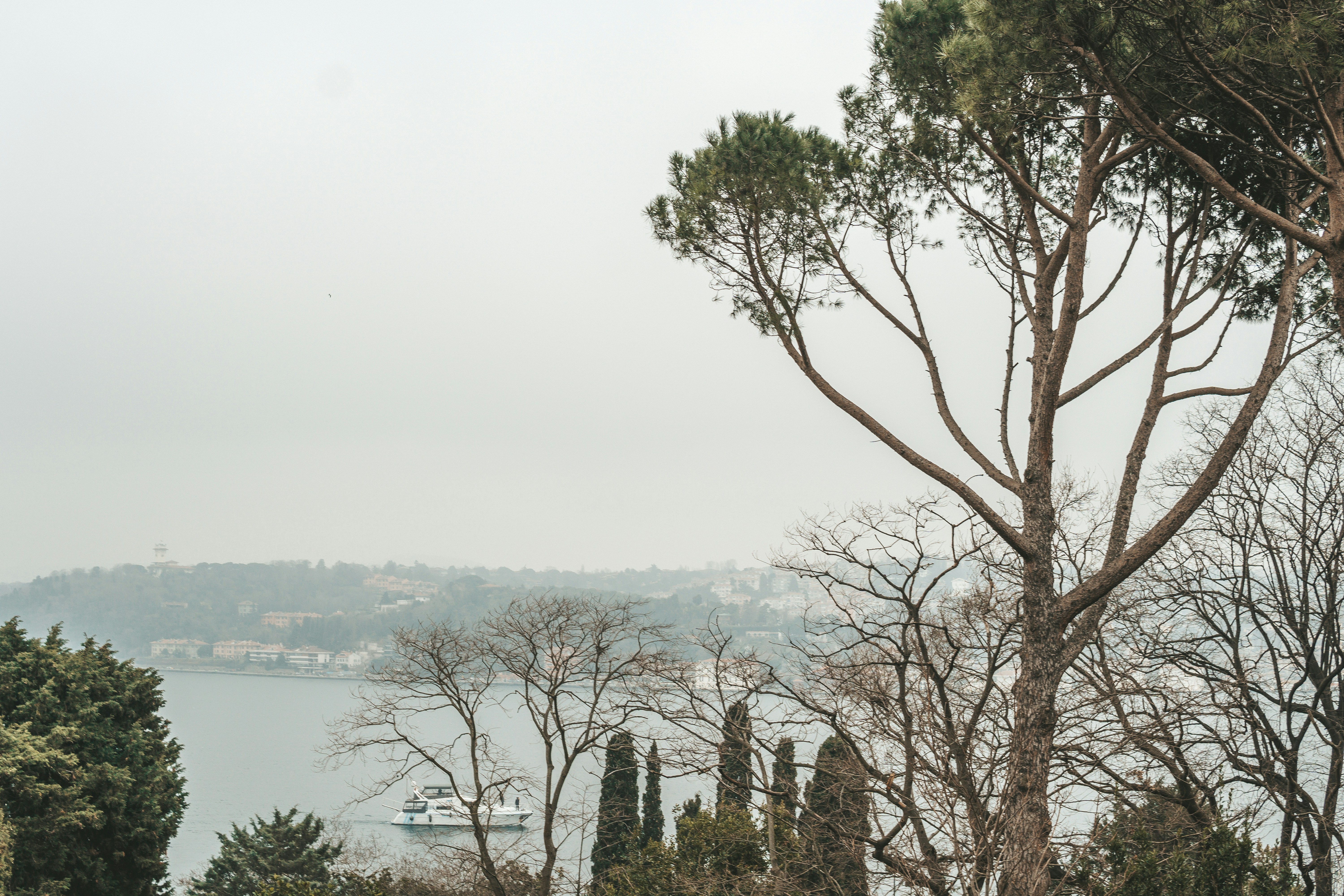 Photo by mertkahveci