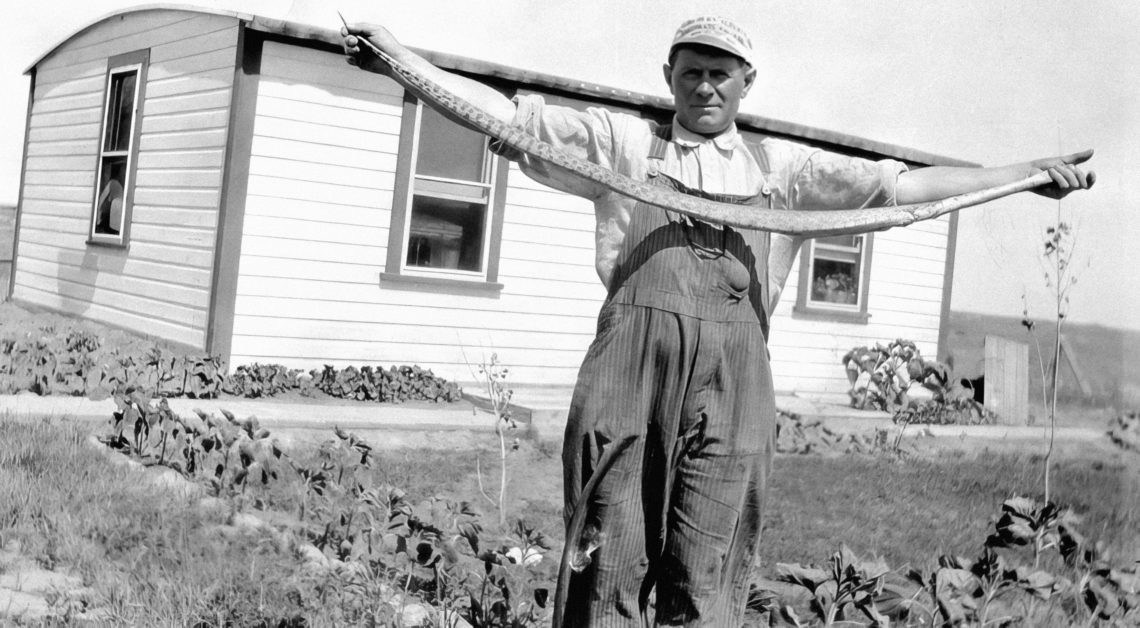 Book Your Appointment