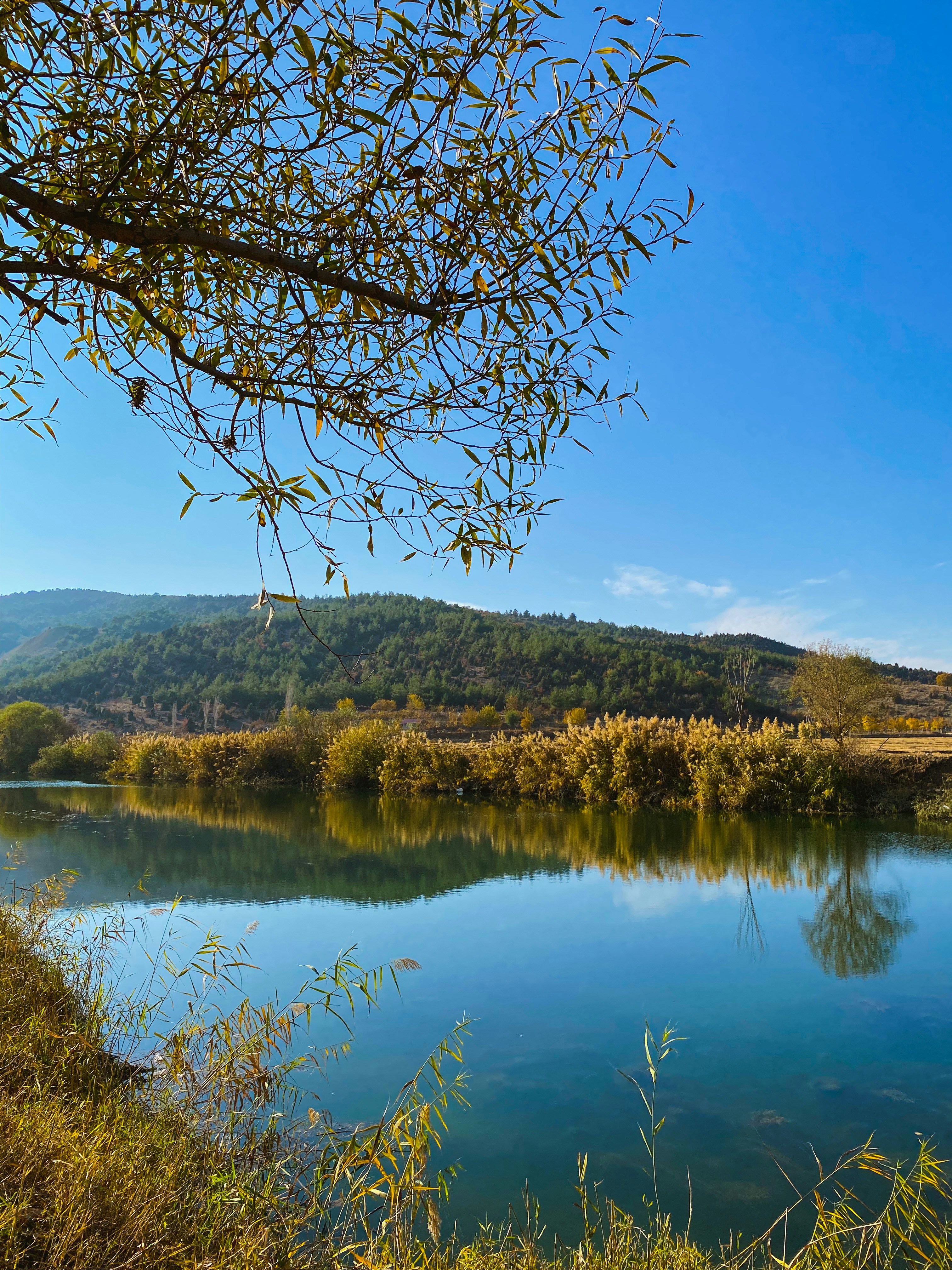 Photo by onurozkardes