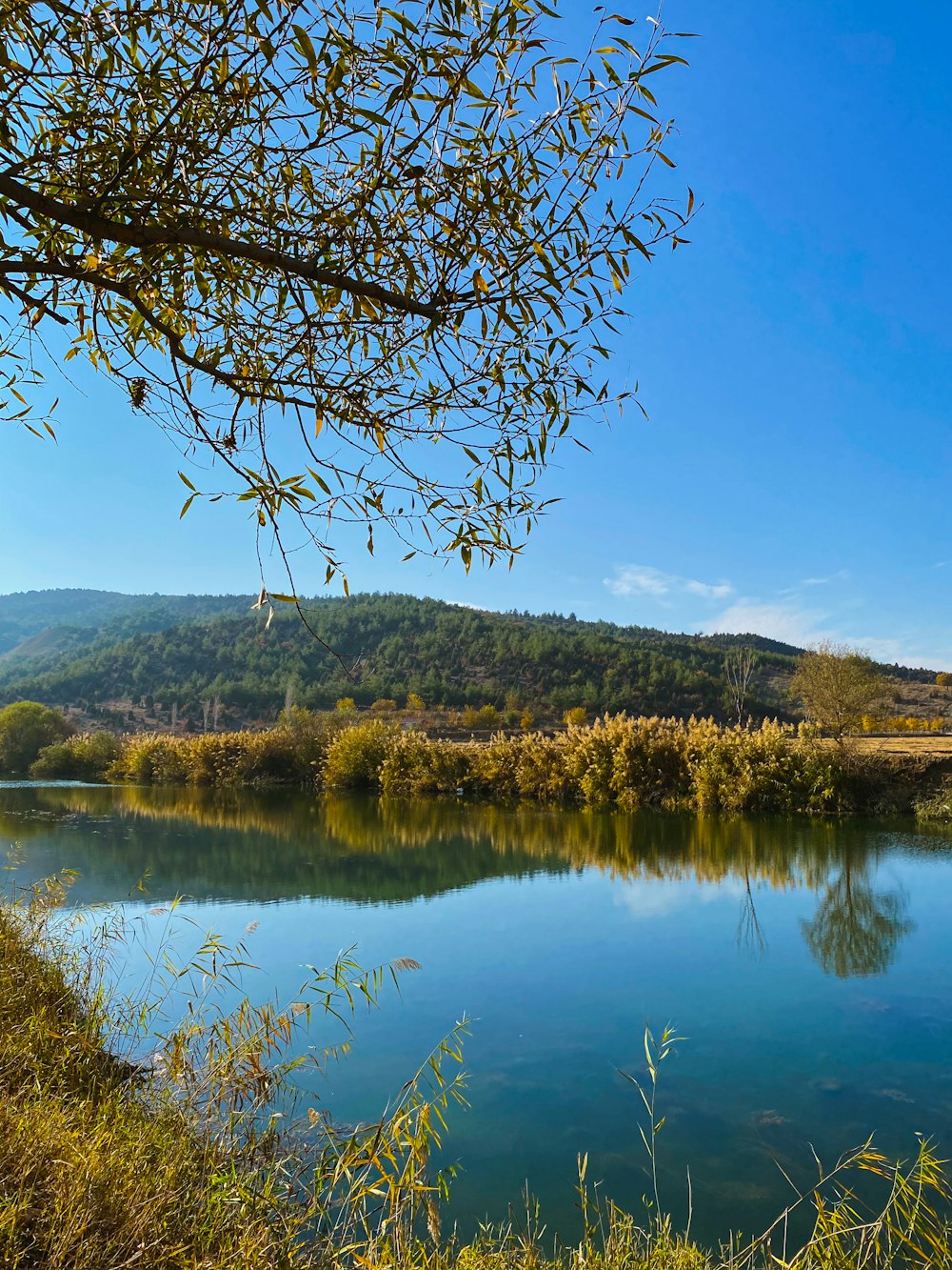 a body of water surrounded by a lush green hillside