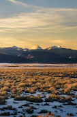 a large open field with mountains in the background