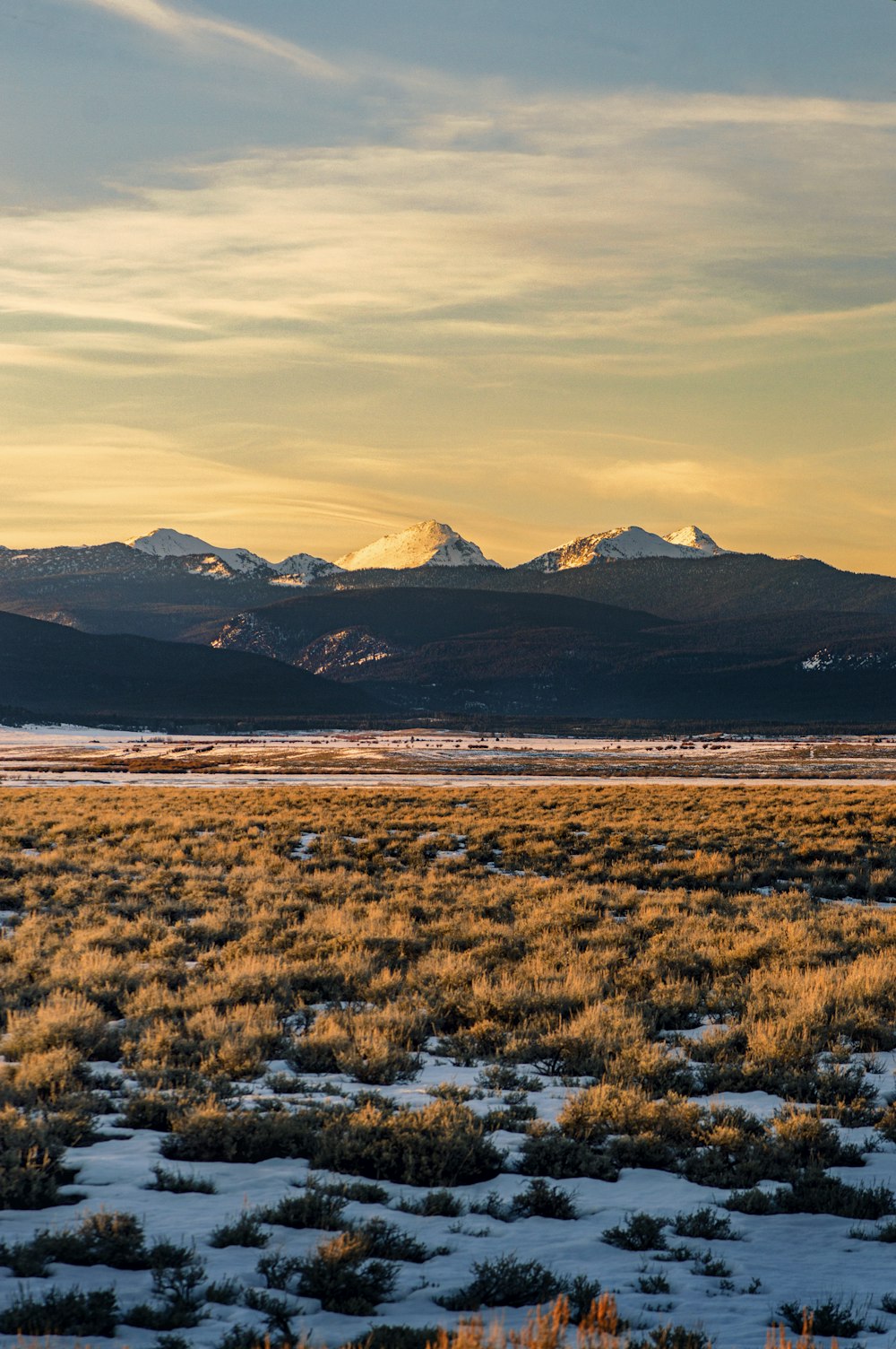 a large open field with mountains in the background