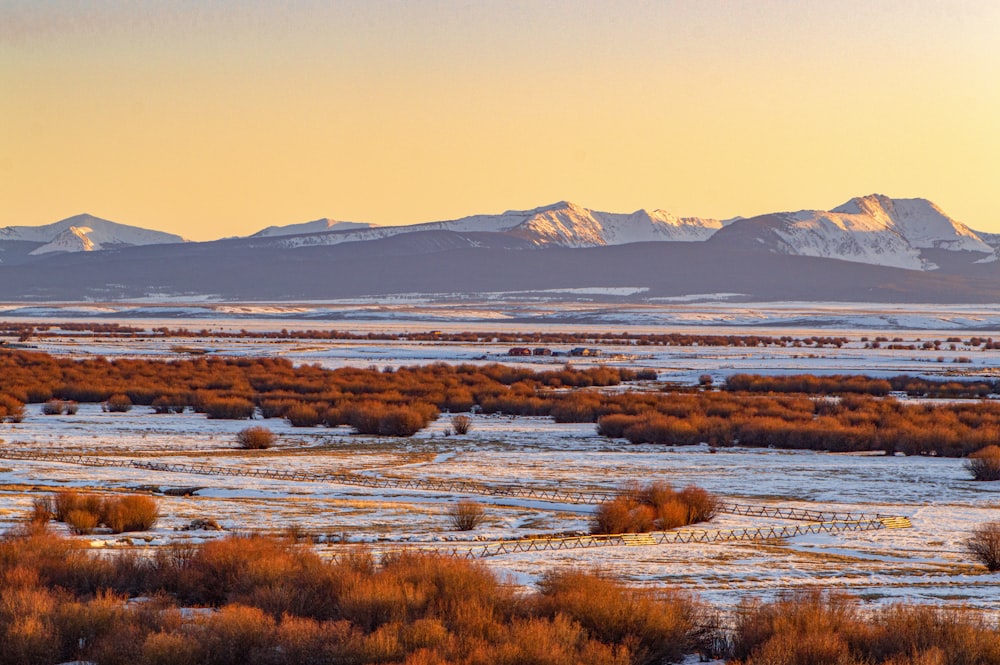 a snowy landscape with mountains in the distance