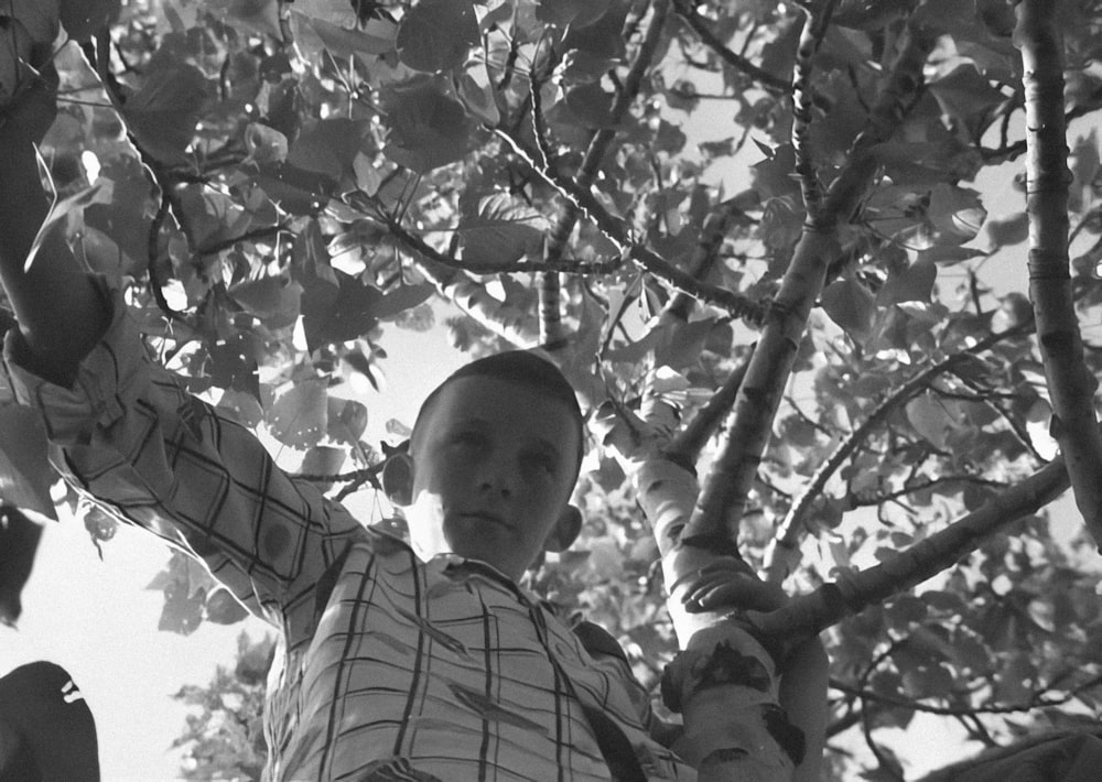 a young boy is standing in a tree