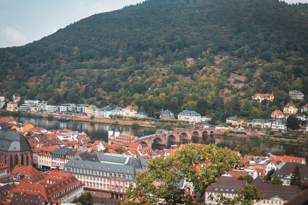 a view of a city with mountains in the background